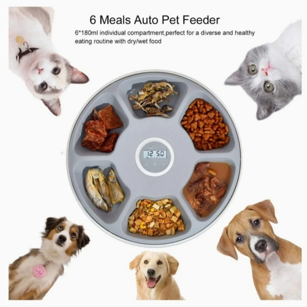Automatic Pet Feeder